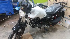 New Denstar Lion King 2026 Black Motorcycle