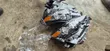 Lexus IS 250 Headlight 2015 - 2