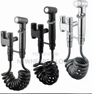 Alpine Bidets - Black and Silver