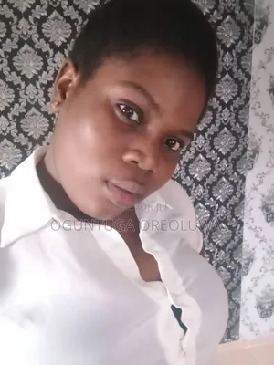 Administrative Assistant Job Seeker - Lagos