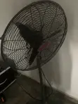OX Fan Masana'antu Mai Amfani - 3