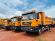 Brand New Shacman F3000 Dump Truck - 1