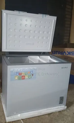 Skyrun Deep Freezer BD260A