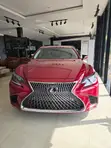 Lexus LS 500 2019 Red - 5