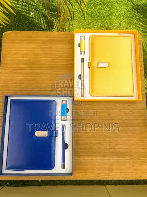 Gold and Blue Notebook Set with Pens and USB