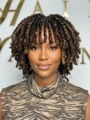Neatly Braided Kinky Bob Wig
