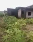 Filin Dadi Tare da Ginin Foundation a Orji, Jihar Imo - 2