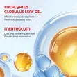 Mosquito Repellent Spray - 3