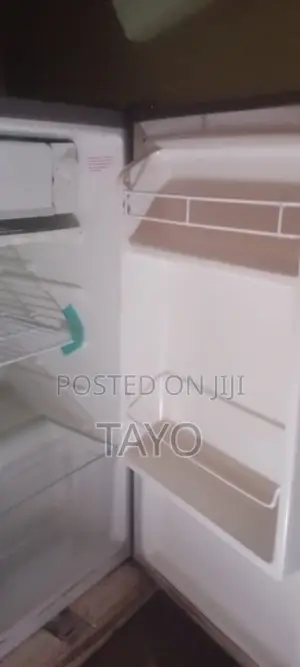 Brand New Skyrun Refrigerator