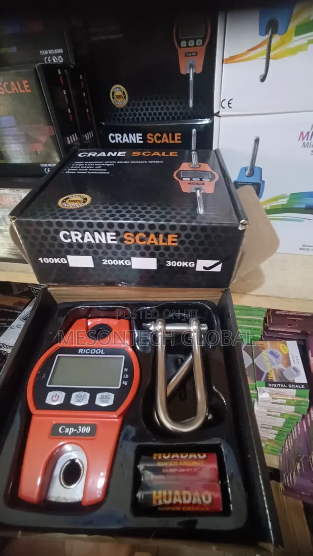 RICHOOL Cap-300 300kg Dijital Crane Scale - 1