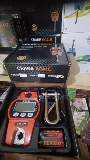 RICHOOL Cap-300 300kg Dijital Crane Scale
