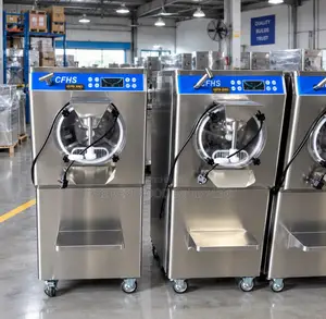 Brand New Batch Ice Cream Machine