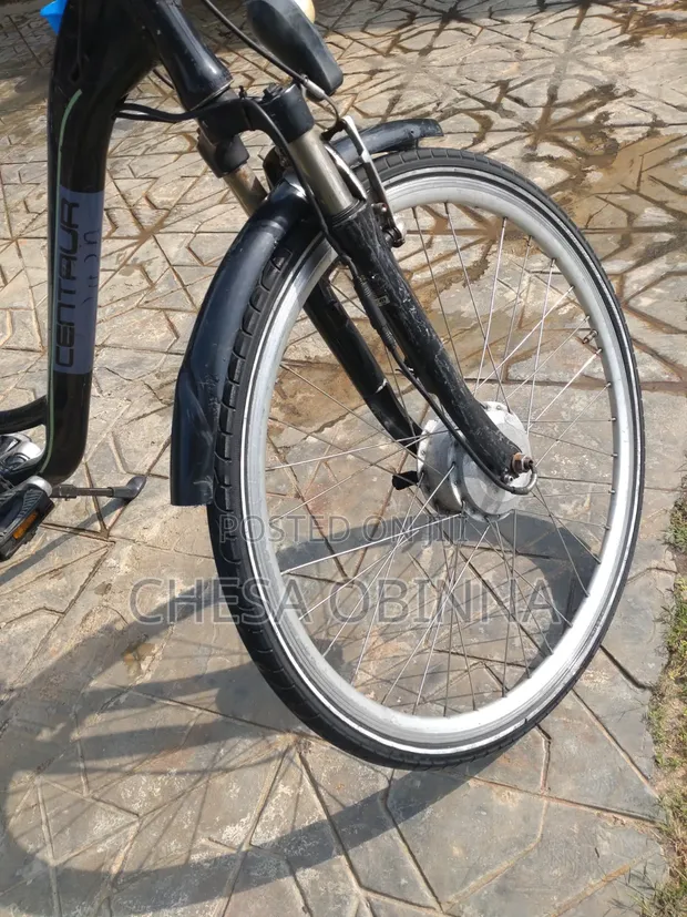 Centaur Electric Bicycle - 36V 15Ah - 1