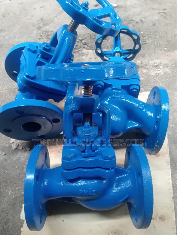 DN 40 Globe Valve PN16 - 1