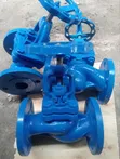 DN 40 Globe Valve PN16 - 1