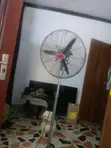OX Standing Fan - 1