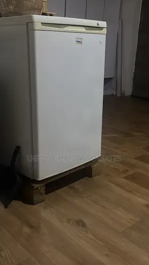 GE Inverter Freezer - 32" Height