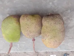 Jackfruit
