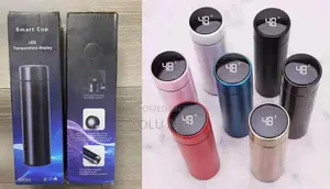Smart Flask with Temperature Display