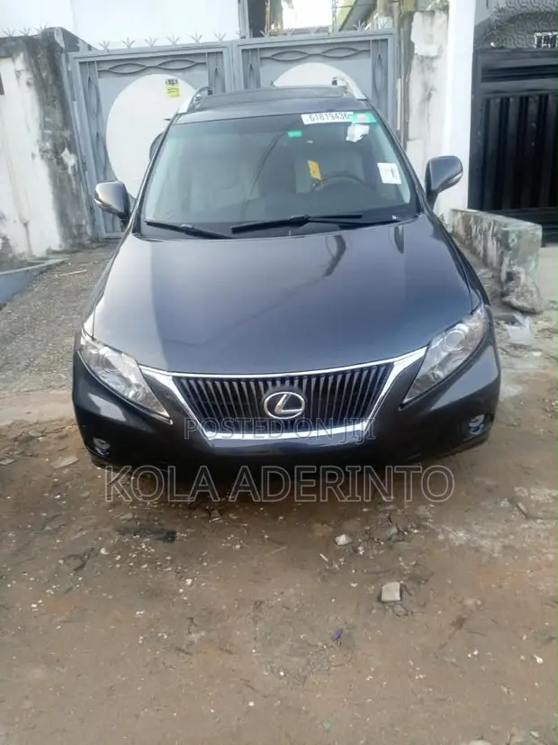 Lexus RX 350 2010 Gray - 1