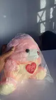 Sabon Teddy Bear Mai Saƙon Zuciya - 1