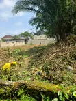Filin Dadi don Sawa: 1400sqm, C of O, Ginin da ba a gama ba a Sangotedo - 3