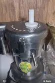 Commercial Electric Juice Extractor - Stainless Steel - 4