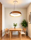 600mm LED Pendant Lights - Mai launuka daban-daban - 1