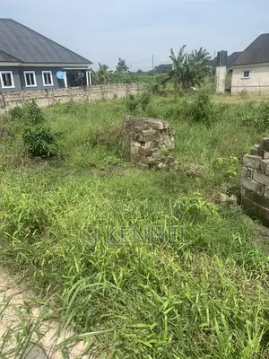 Filin Dadi don Siyasa: 100x50 a Ughelli Ekredjebor Pipeline