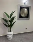 Babban Furannin Kayi na Gida - 2
