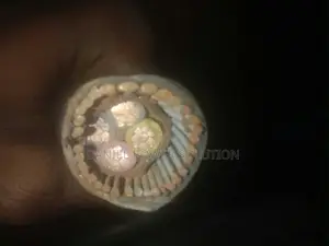 150mm 4-Core Armored Cable