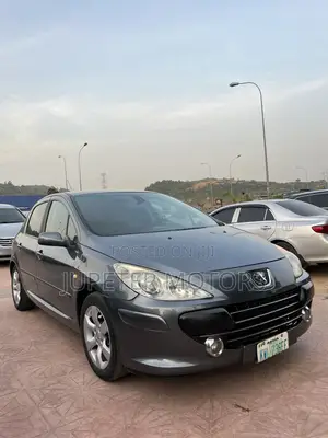 Peugeot 307 2007 Launinsa Grey
