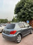Peugeot 307 2007 Launinsa Grey - 3