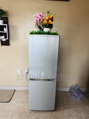 170L Double Door Bottom Freezer Refrigerator - Used
