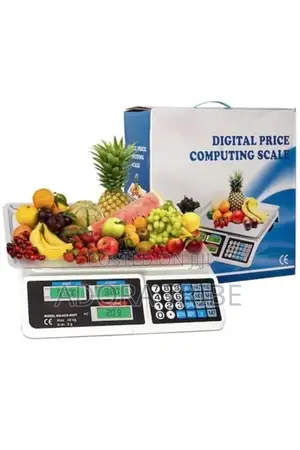 Electronic Digital Price Weighing Scale 40kg