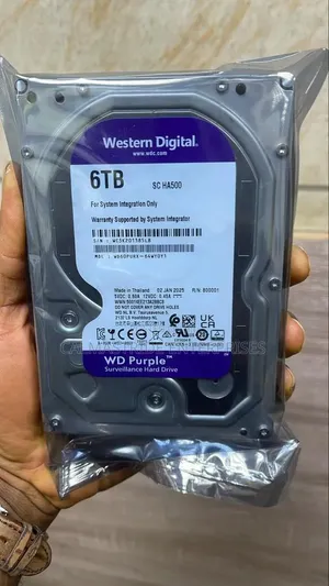 WD Purple Surveillance Hard Drive 6TB