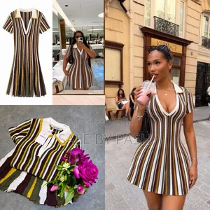 Luxury Zara Skater Dress