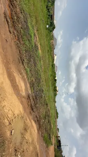Filaye 6 a Ijaiye Kukudi, Olomore