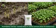 Coco Peat 5kg Loose - Earth Alive Soil Activator - 2
