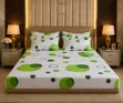 Plain Cotton Bedsheets with 4 Pillowcases - 1
