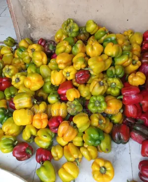 Sabo Kayan Gona: Dawa, Kayan Lambu, Tumatur, Barkono, Garri