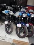 New Denstar Taurus 2026 Black - 3