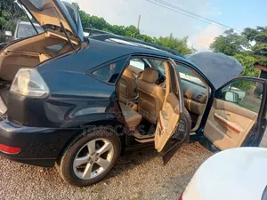 Lexus RX 330 2005 Gray
