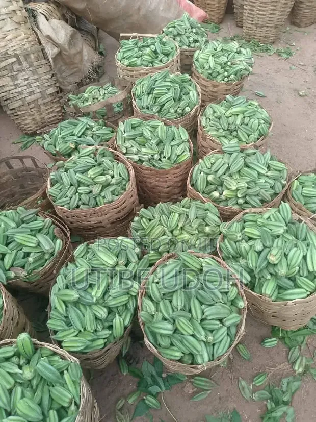 Okro Organic - 5kg - 1