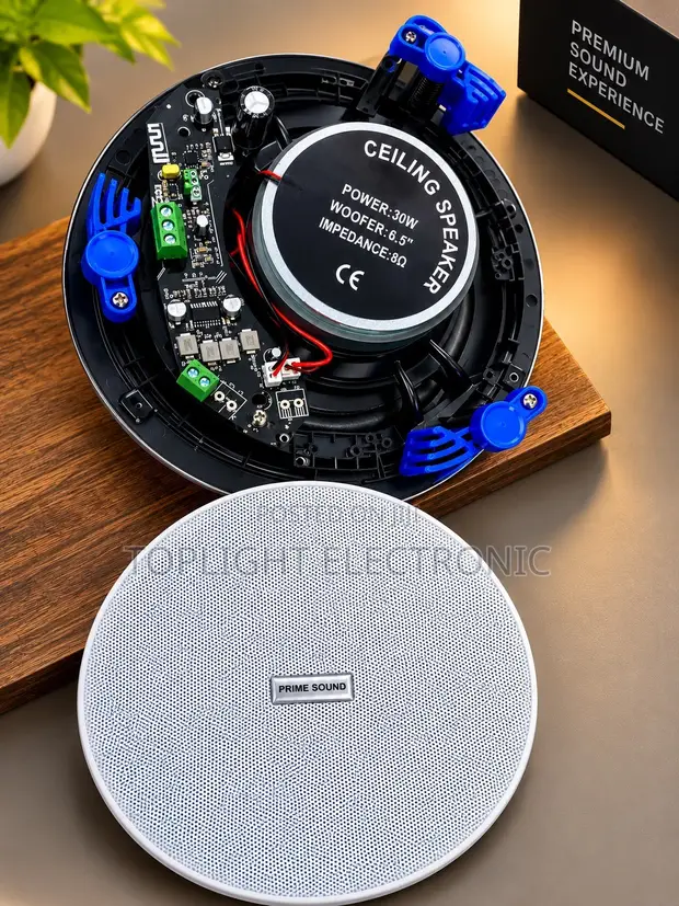 2-in-1 Bluetooth Ceiling Speaker 30W - 1