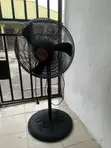 OX Standing Fan - 2
