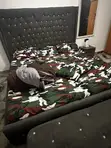 6x6 Bed Frame with Sofa - 3