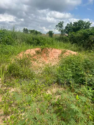 Filin Zama 100x100ft don Siyarwa, Ugbowo