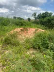 Filin Zama 100x100ft don Siyarwa, Ugbowo - 1