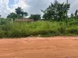 Filin Zama 100x100ft don Siyarwa, Ugbowo - 2